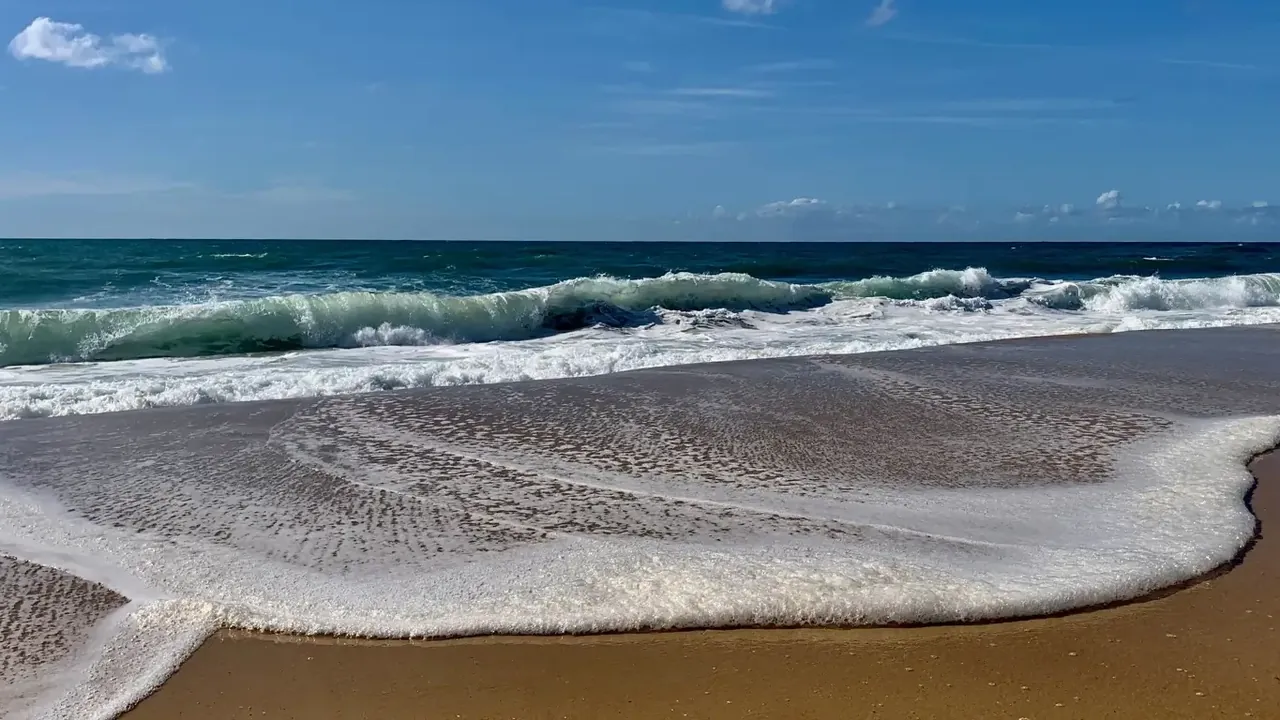 Video abspielen: REISE ZUM MEER — persönlich wachsen, beruflich wirken